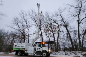 A worker wearing a reflective safety jacket and helmet operating a bucket truck to trim branches off a snow-covered tree.