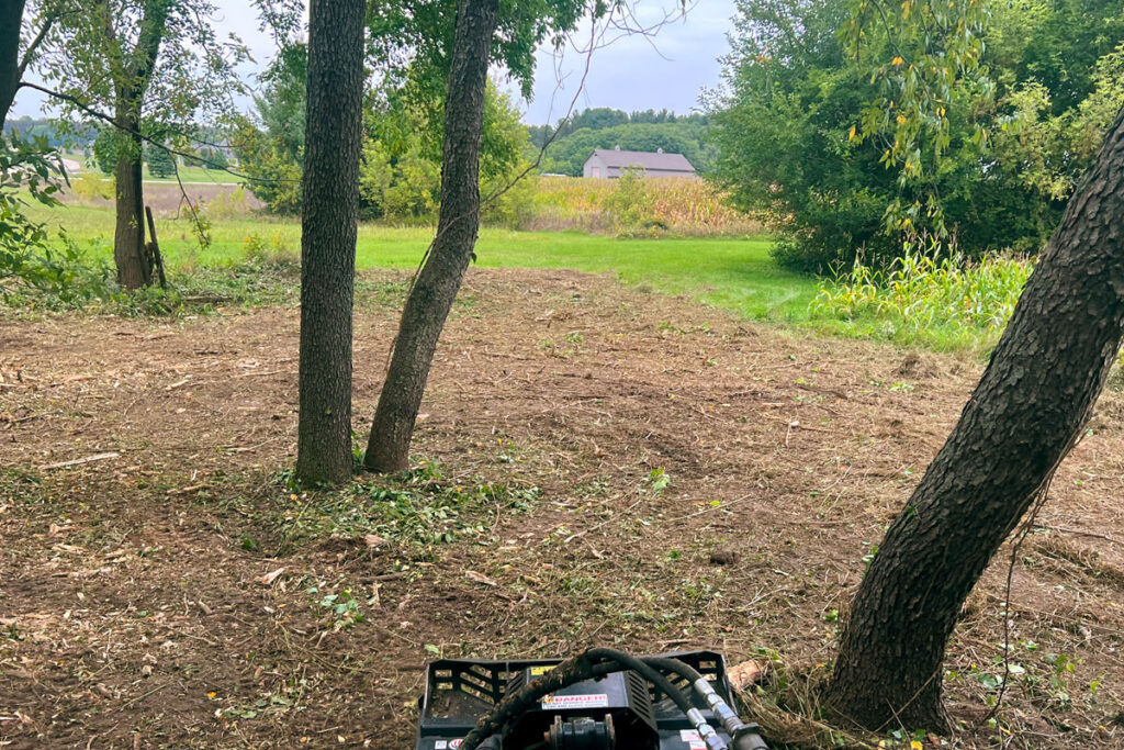 A cleared lot with neatly trimmed trees and removed debris, showcasing the work done by Family Tree.