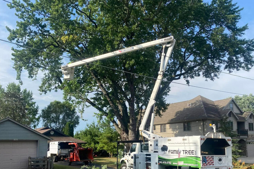 bucket truck near tree