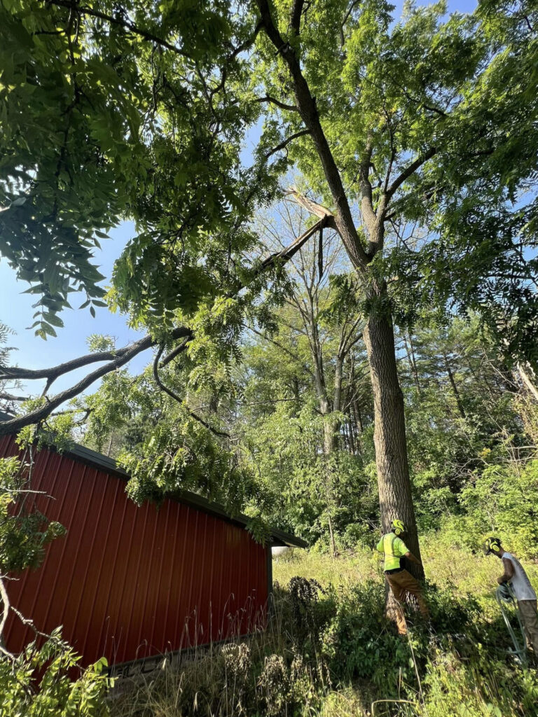 storm3