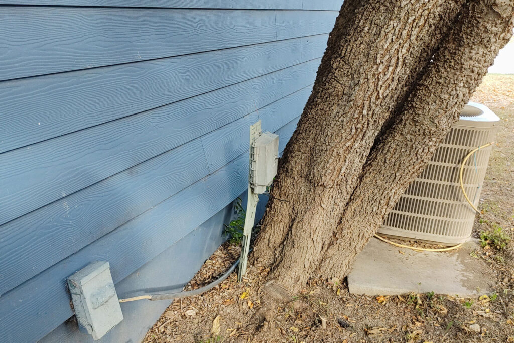 tree close to house